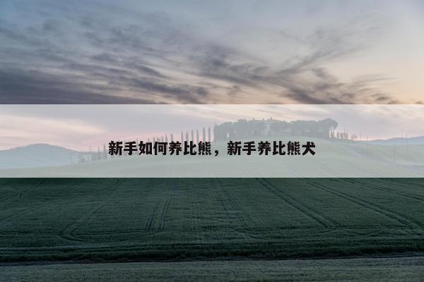 新手如何养比熊，新手养比熊犬