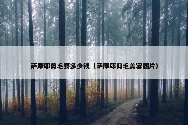 萨摩耶剪毛要多少钱（萨摩耶剪毛美容图片）