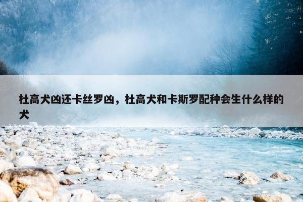 杜高犬凶还卡丝罗凶，杜高犬和卡斯罗配种会生什么样的犬
