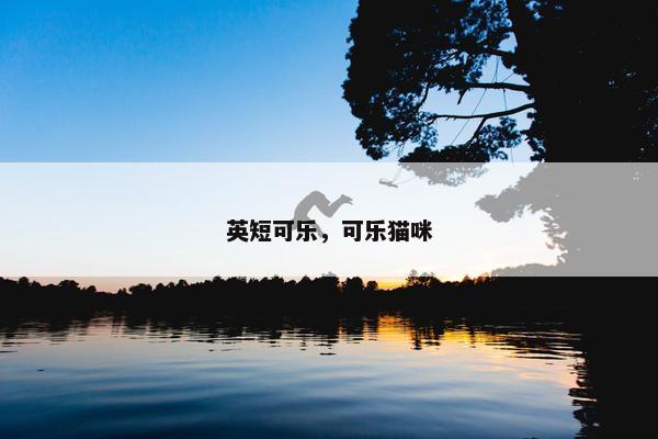 英短可乐，可乐猫咪