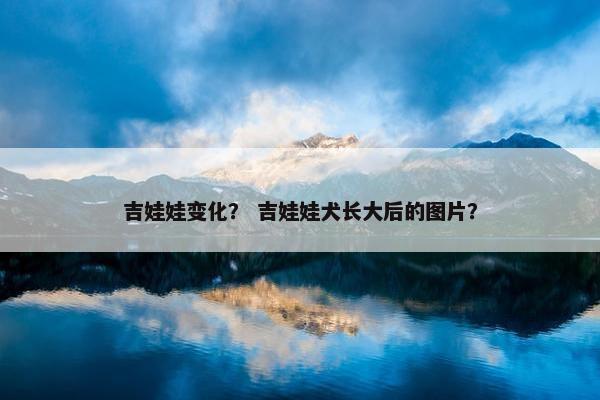吉娃娃变化？ 吉娃娃犬长大后的图片？