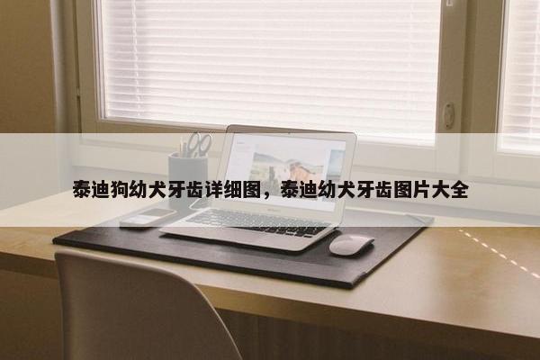 泰迪狗幼犬牙齿详细图，泰迪幼犬牙齿图片大全