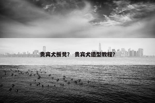 贵宾犬板凳？ 贵宾犬造型教程？