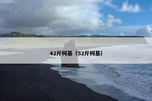 42斤柯基（52斤柯基）