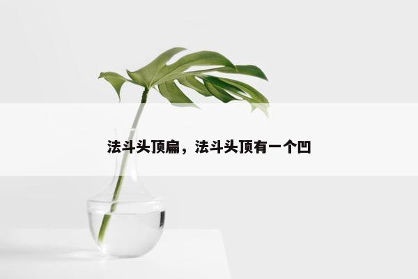 法斗头顶扁，法斗头顶有一个凹
