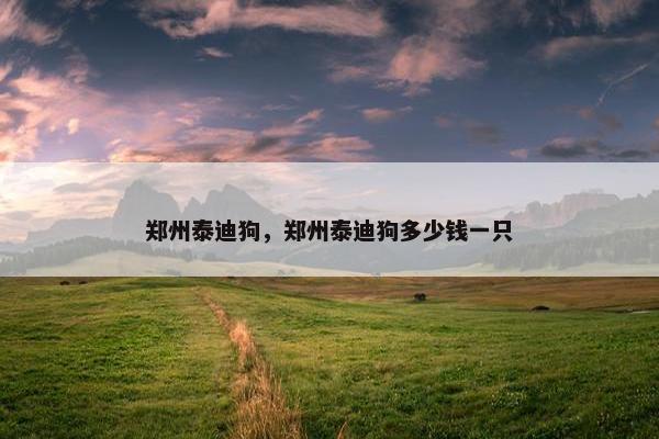 郑州泰迪狗，郑州泰迪狗多少钱一只