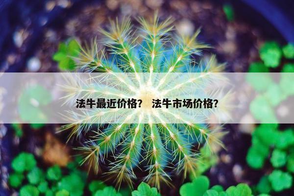 法牛最近价格？ 法牛市场价格？