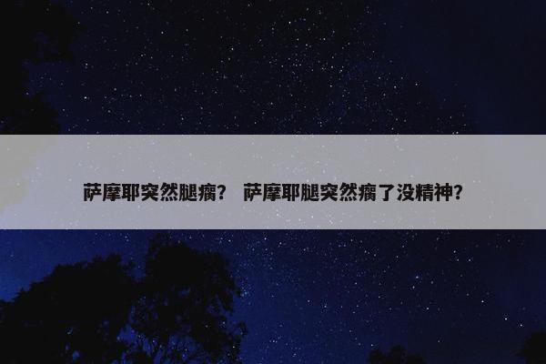 萨摩耶突然腿瘸？ 萨摩耶腿突然瘸了没精神？