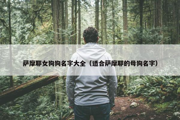 萨摩耶女狗狗名字大全（适合萨摩耶的母狗名字）