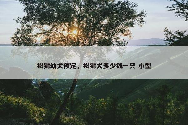 松狮幼犬预定，松狮犬多少钱一只 小型