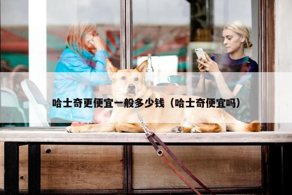 哈士奇更便宜一般多少钱（哈士奇便宜吗）