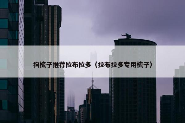 狗梳子推荐拉布拉多（拉布拉多专用梳子）