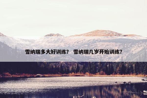 雪纳瑞多大好训练？ 雪纳瑞几岁开始训练？