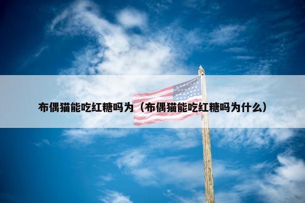 布偶猫能吃红糖吗为（布偶猫能吃红糖吗为什么）