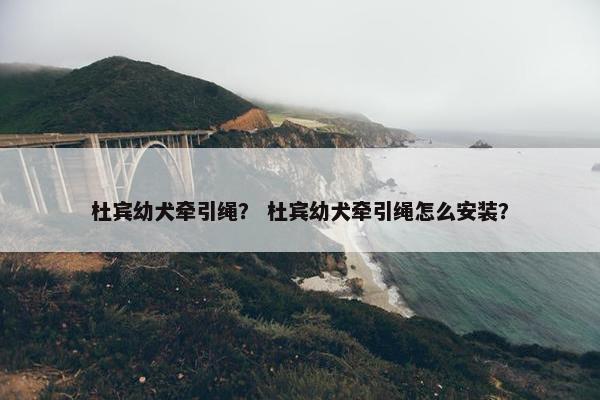 杜宾幼犬牵引绳？ 杜宾幼犬牵引绳怎么安装？