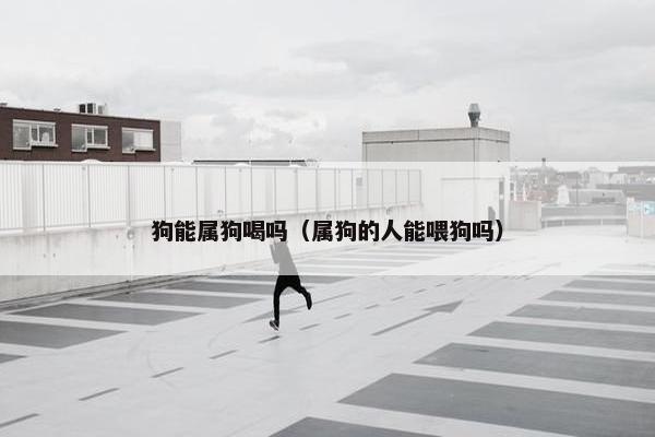 狗能属狗喝吗（属狗的人能喂狗吗）