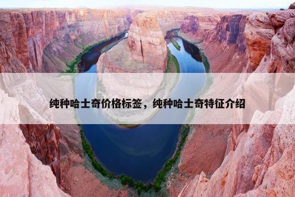 纯种哈士奇价格标签，纯种哈士奇特征介绍