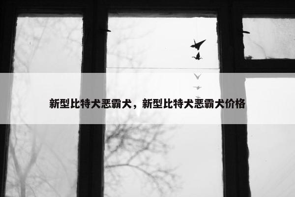 新型比特犬恶霸犬，新型比特犬恶霸犬价格