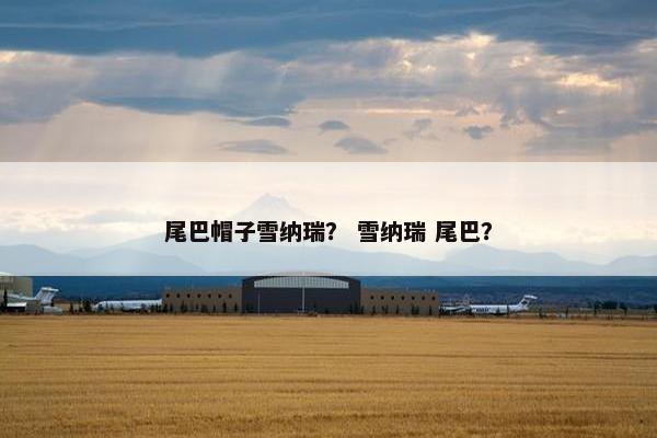 尾巴帽子雪纳瑞？ 雪纳瑞 尾巴？