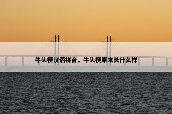 牛头梗汉语拼音，牛头梗原来长什么样