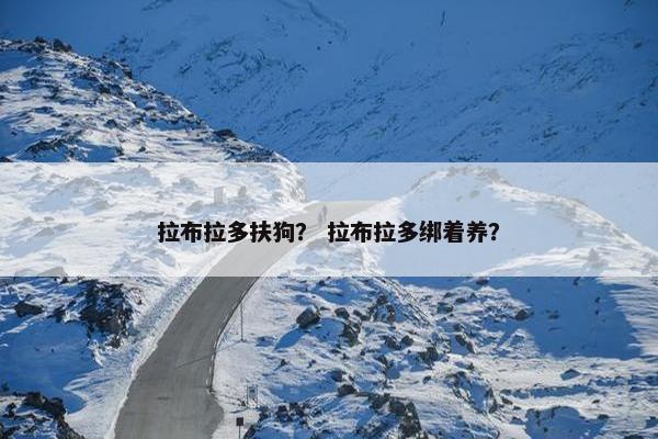 拉布拉多扶狗？ 拉布拉多绑着养？