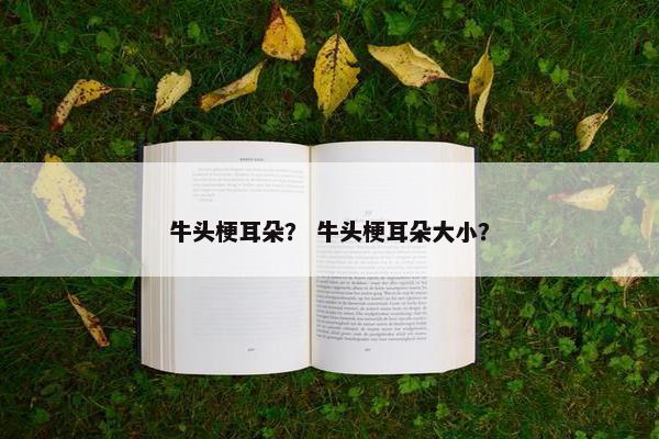 牛头梗耳朵？ 牛头梗耳朵大小？