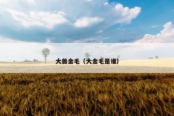 大兽金毛（大金毛是谁）