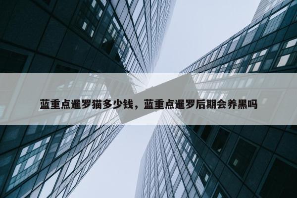 蓝重点暹罗猫多少钱，蓝重点暹罗后期会养黑吗