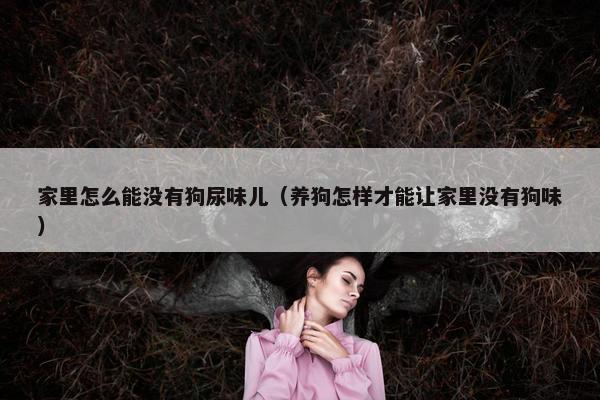 家里怎么能没有狗尿味儿（养狗怎样才能让家里没有狗味）