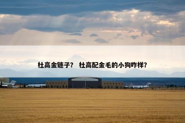 杜高金链子？ 杜高配金毛的小狗咋样？
