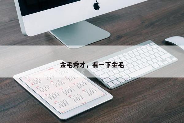 金毛秀才，看一下金毛
