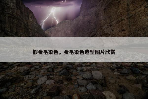 假金毛染色，金毛染色造型图片欣赏