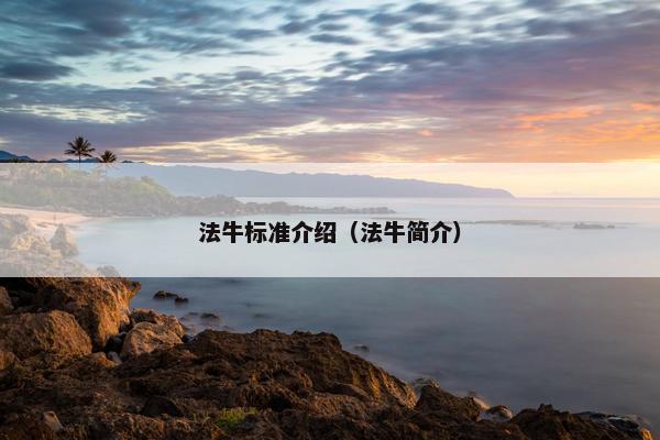 法牛标准介绍（法牛简介）