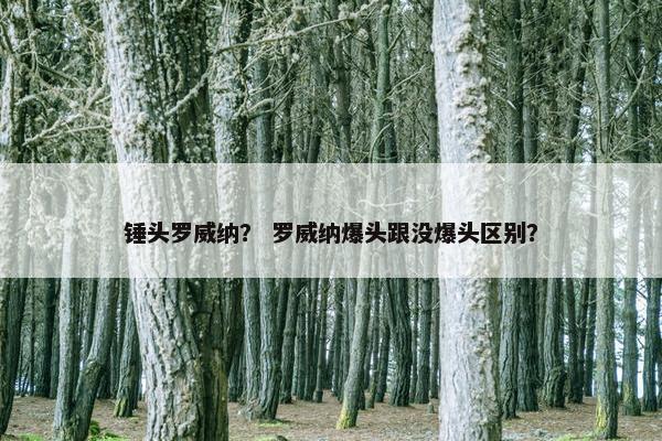 锤头罗威纳？ 罗威纳爆头跟没爆头区别？