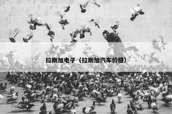 拉斯加电子（拉斯加汽车价格）