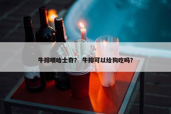 牛排喂哈士奇？ 牛排可以给狗吃吗？