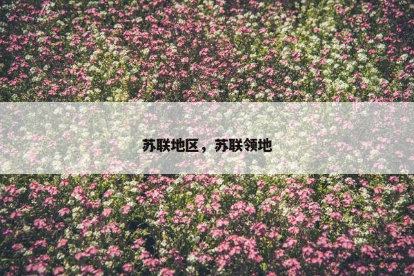 苏联地区，苏联领地