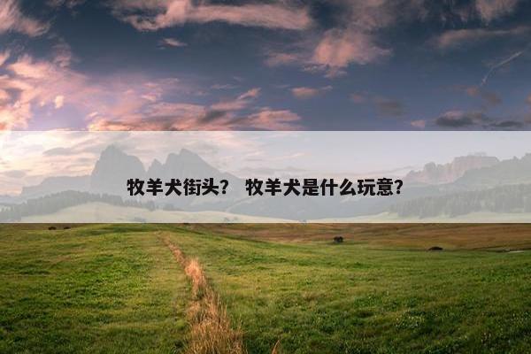 牧羊犬街头？ 牧羊犬是什么玩意？