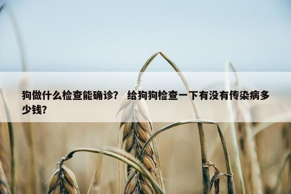 狗做什么检查能确诊？ 给狗狗检查一下有没有传染病多少钱？