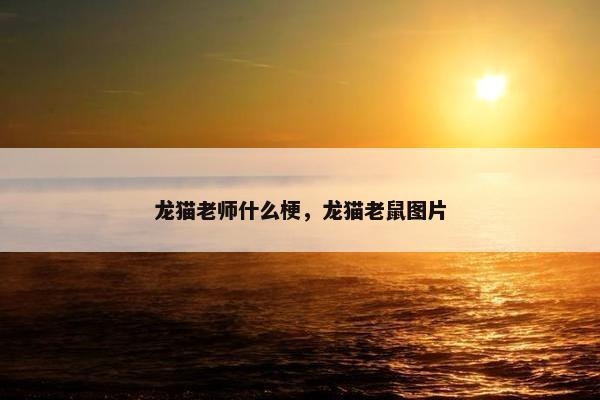 龙猫老师什么梗，龙猫老鼠图片