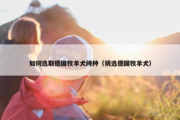 如何选取德国牧羊犬纯种（挑选德国牧羊犬）