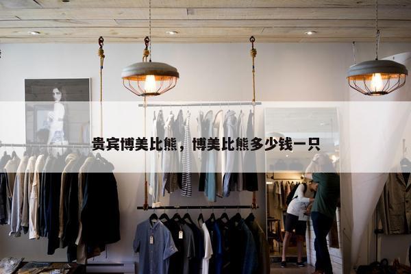 贵宾博美比熊，博美比熊多少钱一只
