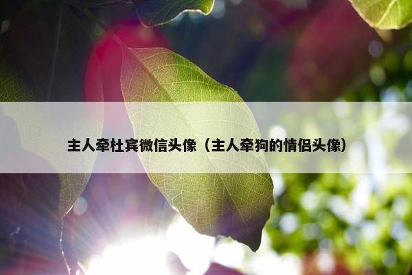 主人牵杜宾微信头像（主人牵狗的情侣头像）