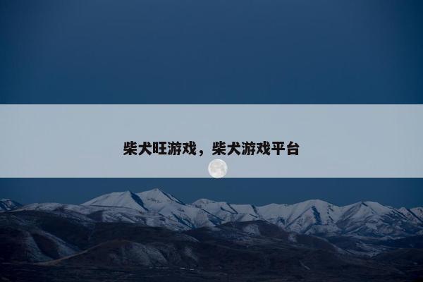 柴犬旺游戏，柴犬游戏平台