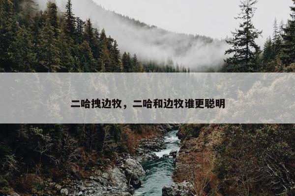 二哈拽边牧，二哈和边牧谁更聪明