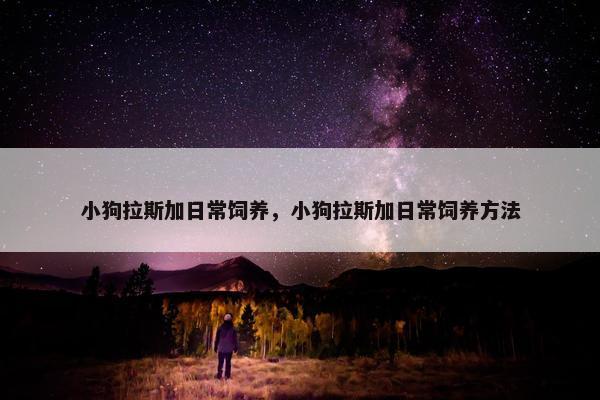 小狗拉斯加日常饲养，小狗拉斯加日常饲养方法
