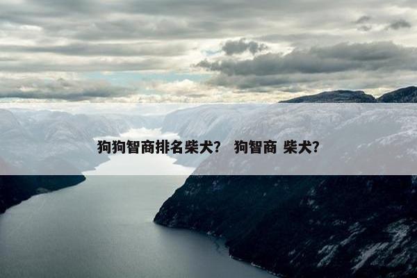 狗狗智商排名柴犬？ 狗智商 柴犬？