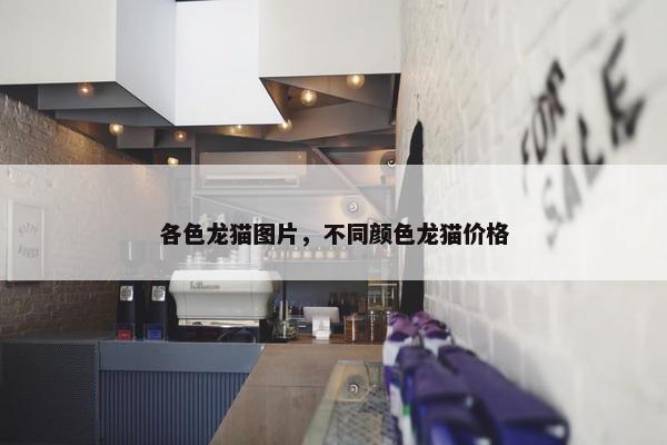 各色龙猫图片，不同颜色龙猫价格