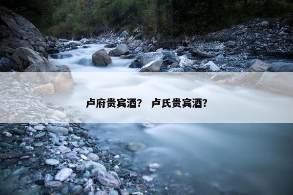 卢府贵宾酒？ 卢氏贵宾酒？