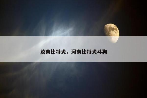 汝南比特犬，河南比特犬斗狗